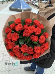 33 червоні троянди Ель Торо 60 см