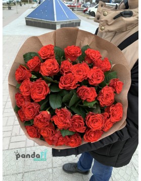 33 red El Toro roses 60 cm