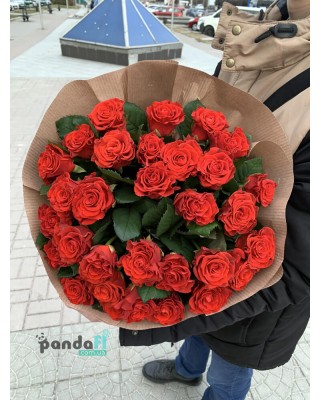 33 красные розы Эль Торо 60 см