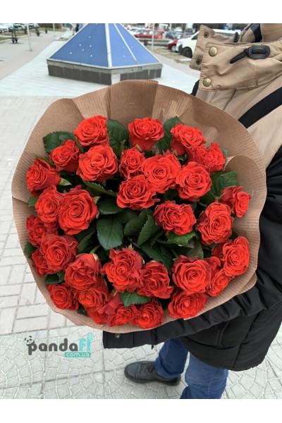 33 червоні троянди Ель Торо 60 см