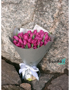 35 purple tulips
