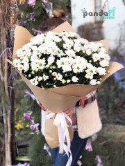 31 white chrysanthemums #2