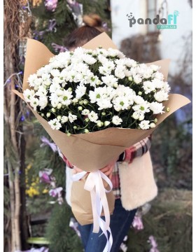 31 white chrysanthemums #2