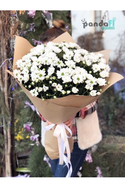 31 white chrysanthemums #2