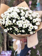 31 white chrysanthemums #2