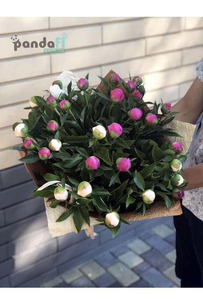 35 peonies