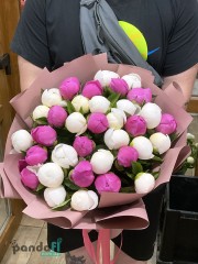35 peonies mix