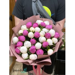 35 півонії мікс
