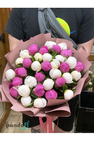 35 peonies mix