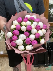 35 peonies mix