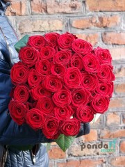 35 червоних троянд 70 см