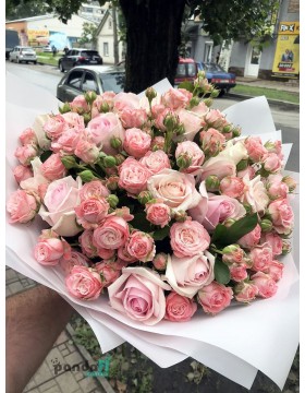 35 roses mix ordinary + bush