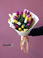 35 mixed tulips