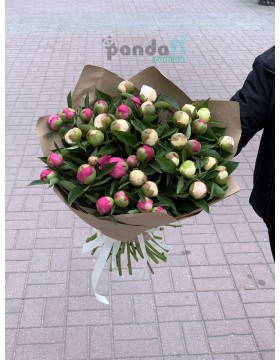 39 півонів