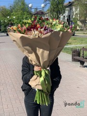 41 альстромерія