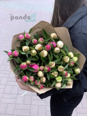 41 peonies