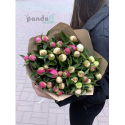 41 peonies