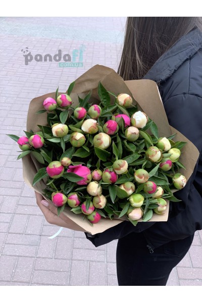 41 peonies