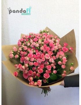 41 bush rose pink