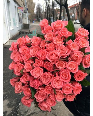 41 рожева троянда Каріна 80 см