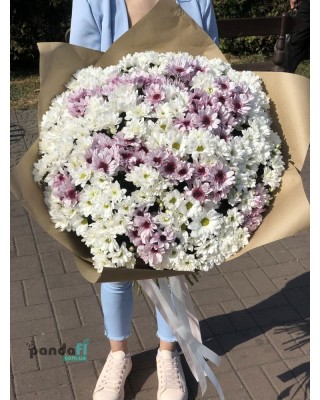 45 хризантем