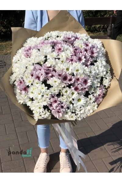 45 хризантем