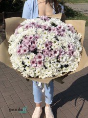45 хризантем