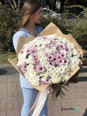 45 хризантем