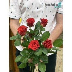 5 червоних троянд Ель торо