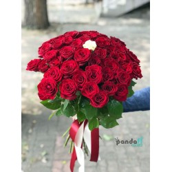 50 червоних та 1 біла троянда 70 см