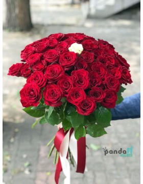50 червоних та 1 біла троянда 70 см