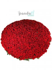501 червона троянда