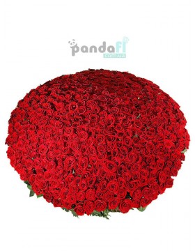 501 red rose