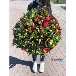 51 альстромерія