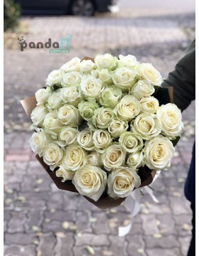 51 white rose 60 cm