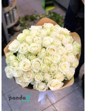 51 white rose 80 cm