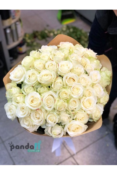 51 white rose 80 cm