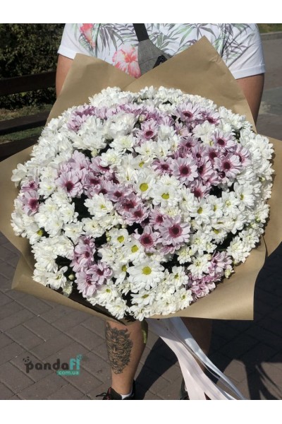 51 chrysanthemums