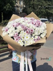 51 chrysanthemums
