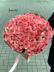 51 біло-рожева троянда 70 см
