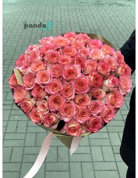 51 white and pink rose 70 cm