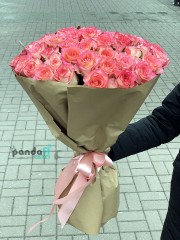 51 біло-рожева троянда 70 см