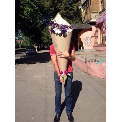 51 еустома