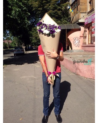 51 еустома
