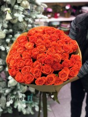 51 коралова троянда Вау 80 см