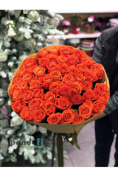 51 коралова троянда Вау 80 см