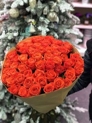 51 коралова троянда Вау 80 см