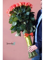 51 коралова троянда 90 см
