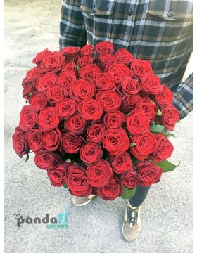 51 red rose Grand Prix 60 cm