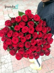 51 червона троянда Гран При 70 см